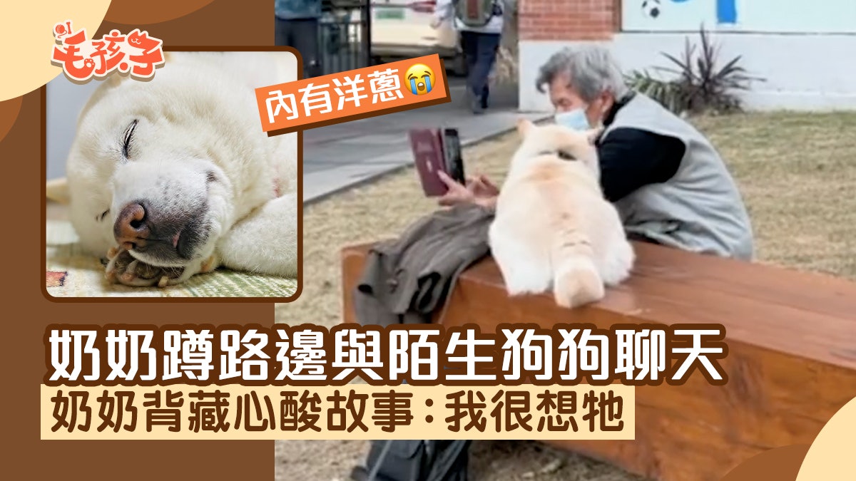 奶奶蹲路邊和陌生小狗聊天還給牠看照片 背藏心酸故事:我很想牠 奶奶蹲路邊和陌生小狗聊天還給牠看照片 背藏心酸故事:我很想牠