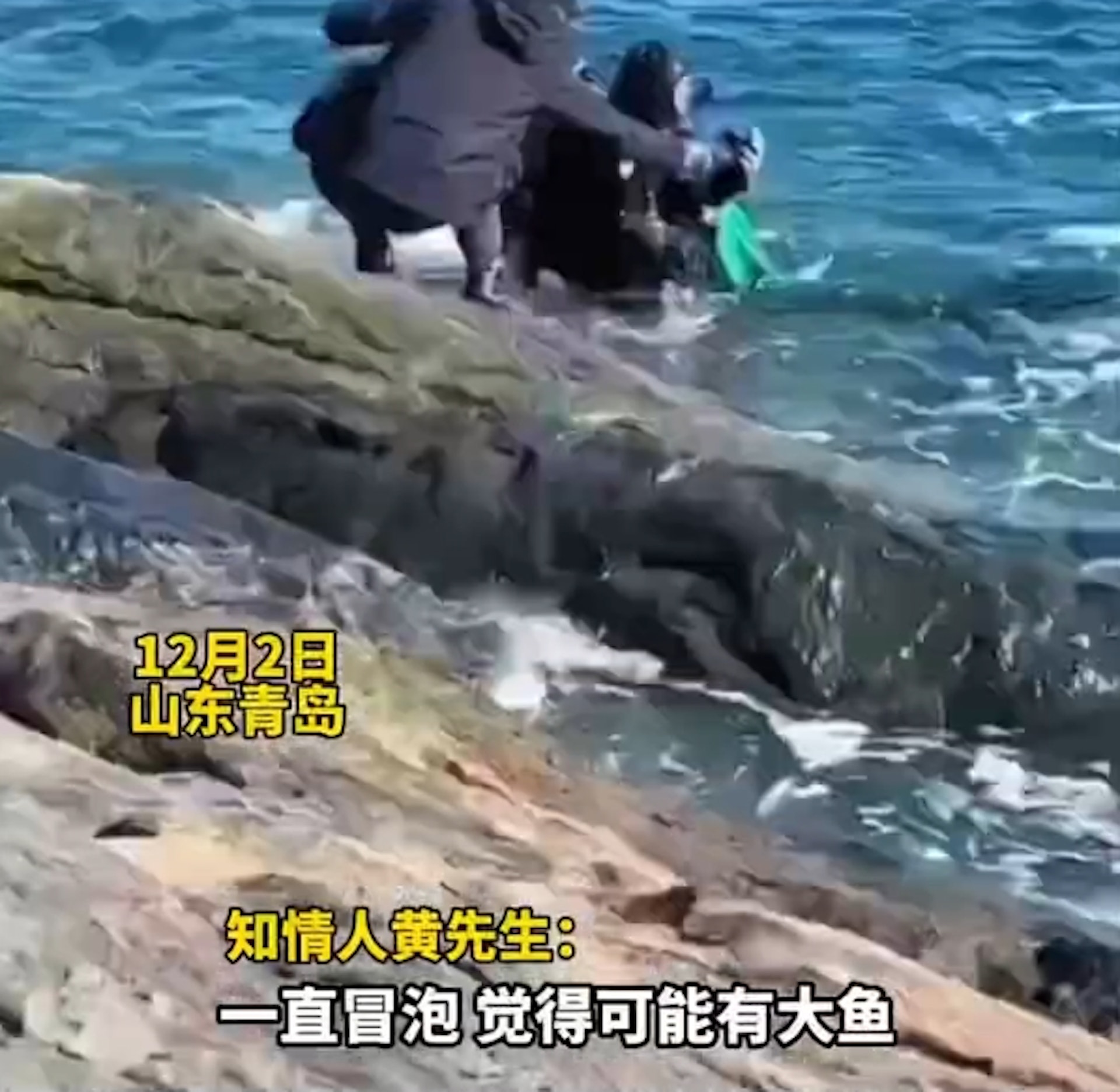 大陸山東青島一名男子去海邊潛水,卻被釣友「釣」上岸,解開魚鉤後,他想說改去另一頭潛水應該就能避開,結果還是沒有逃開被釣上岸的命運,又被另一個釣友釣上來。(極目新聞影片截圖) 大陸山東青島一名男子去海邊潛水,卻被釣友「釣」上岸,解開魚鉤後,他想說改去另一頭潛水應該就能避開,結果還是沒有逃開被釣上岸的命運,又被另一個釣友釣上來。(極目新聞影片截圖)
