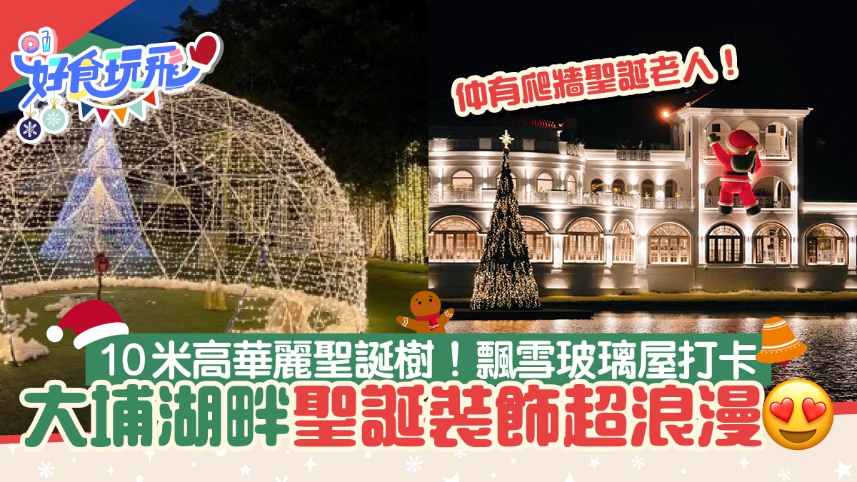 大埔小白鷺餐廳Billow 10米高華麗聖誕樹登場!浪漫飄雪玻璃屋 大埔小白鷺餐廳Billow 10米高華麗聖誕樹登場!浪漫飄雪玻璃屋