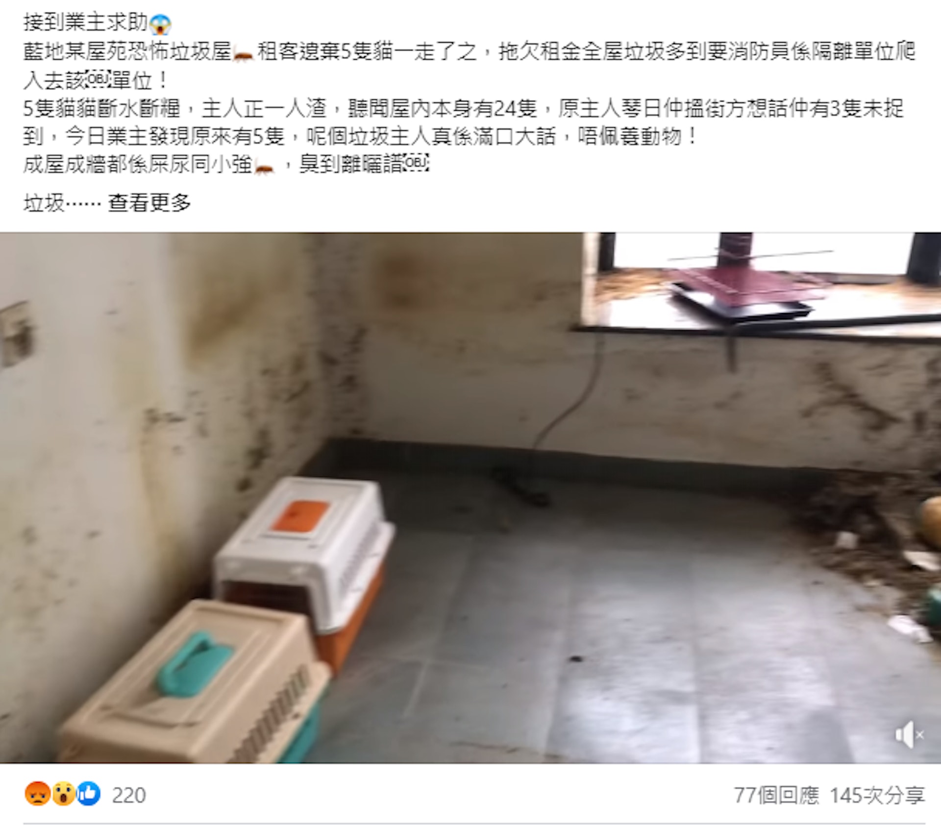 圖自「星星寵物。水族」 圖自「星星寵物。水族」