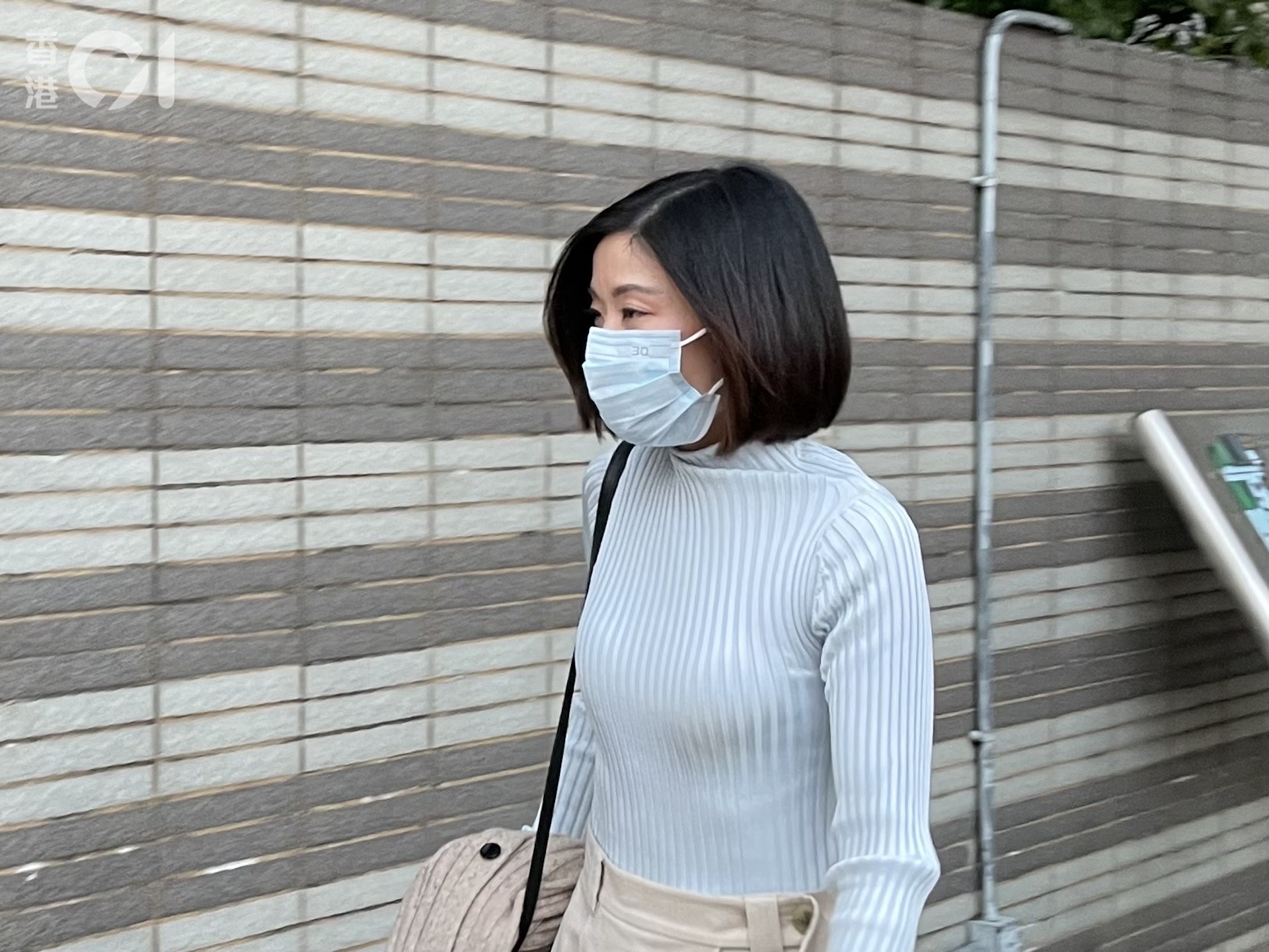 女被告莊慧敏。(資料圖片) 女被告莊慧敏。(資料圖片)