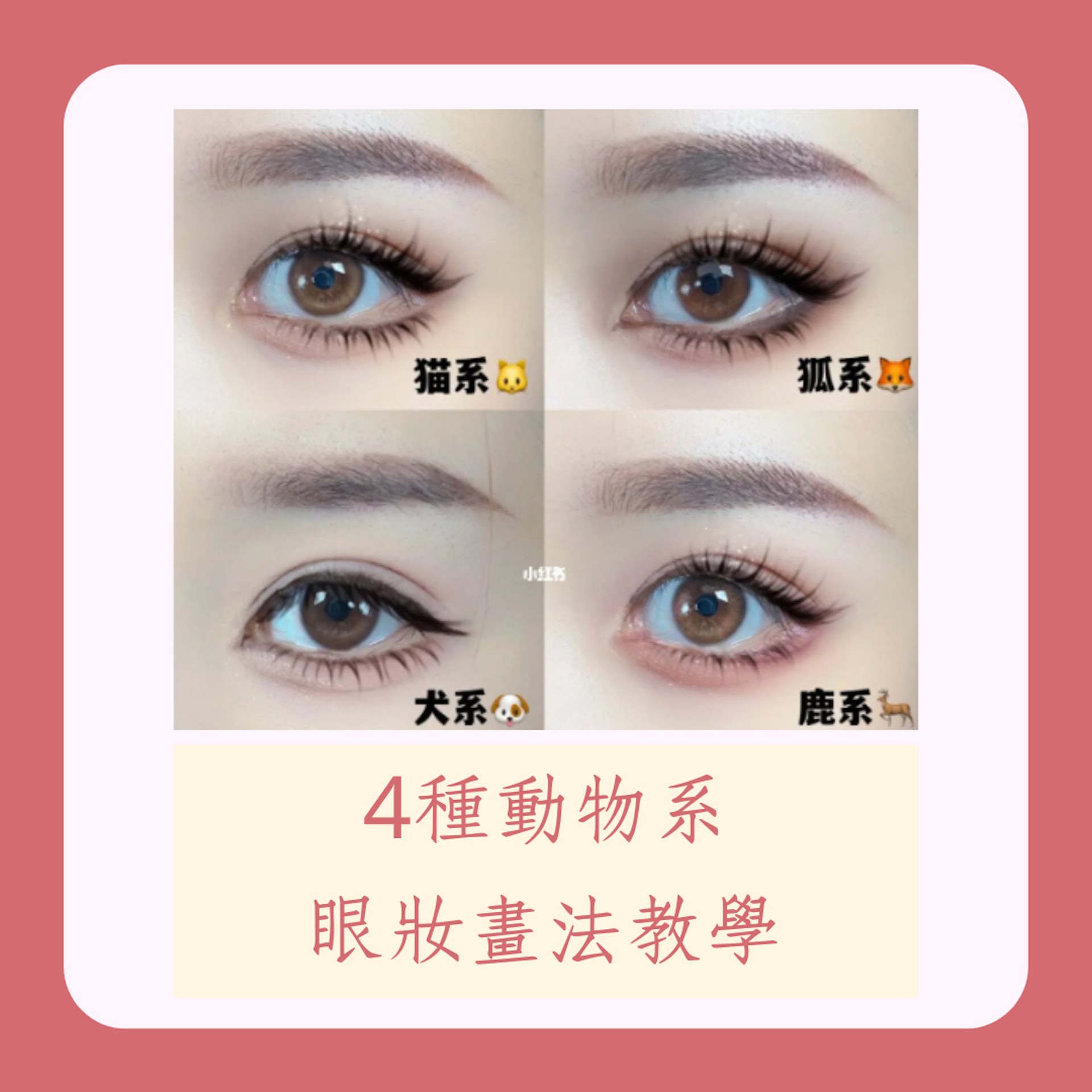4種動物系眼妝畫法教學(小紅書@愛化妝的茶茶籽;01製圖) 4種動物系眼妝畫法教學(小紅書@愛化妝的茶茶籽;01製圖)