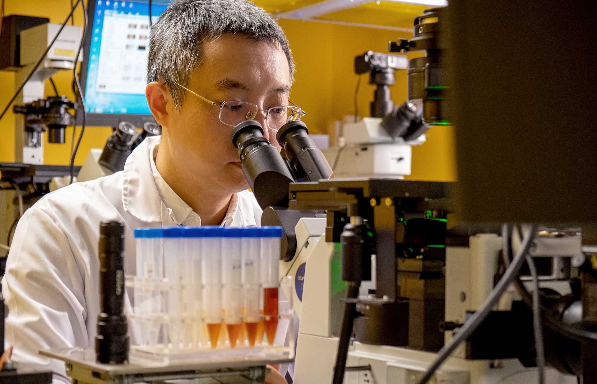 港大理學院化學系副教授唐晉堯現正就著納米機器人於通訊網絡中出現智能行為的原因進行研究,將來主要應用於生物醫學範疇上。(香港大學提供) 港大理學院化學系副教授唐晉堯現正就著納米機器人於通訊網絡中出現智能行為的原因進行研究,將來主要應用於生物醫學範疇上。(香港大學提供)