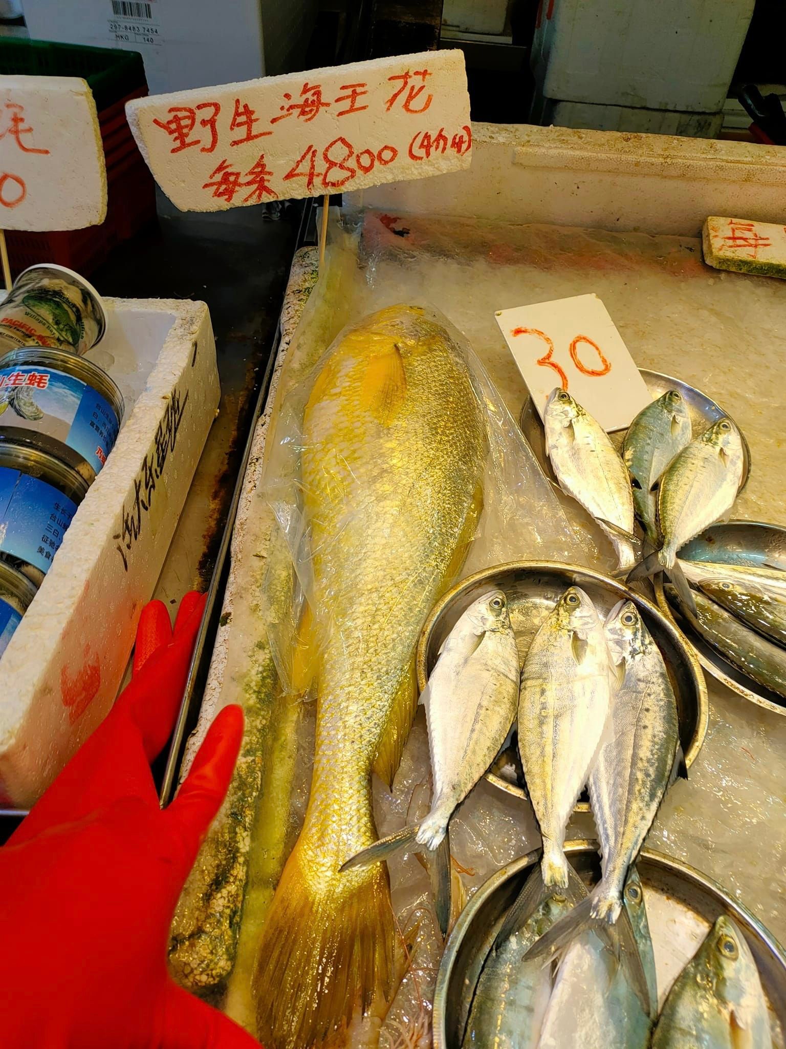 天價黃花魚再現 街市魚檔 4800野生海黃花惹議網民1原因話超值