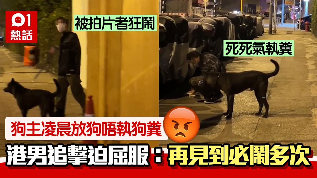 缺德！狗主凌晨放狗唔執糞港男追擊1招迫屈服網民讚：鬧得啱