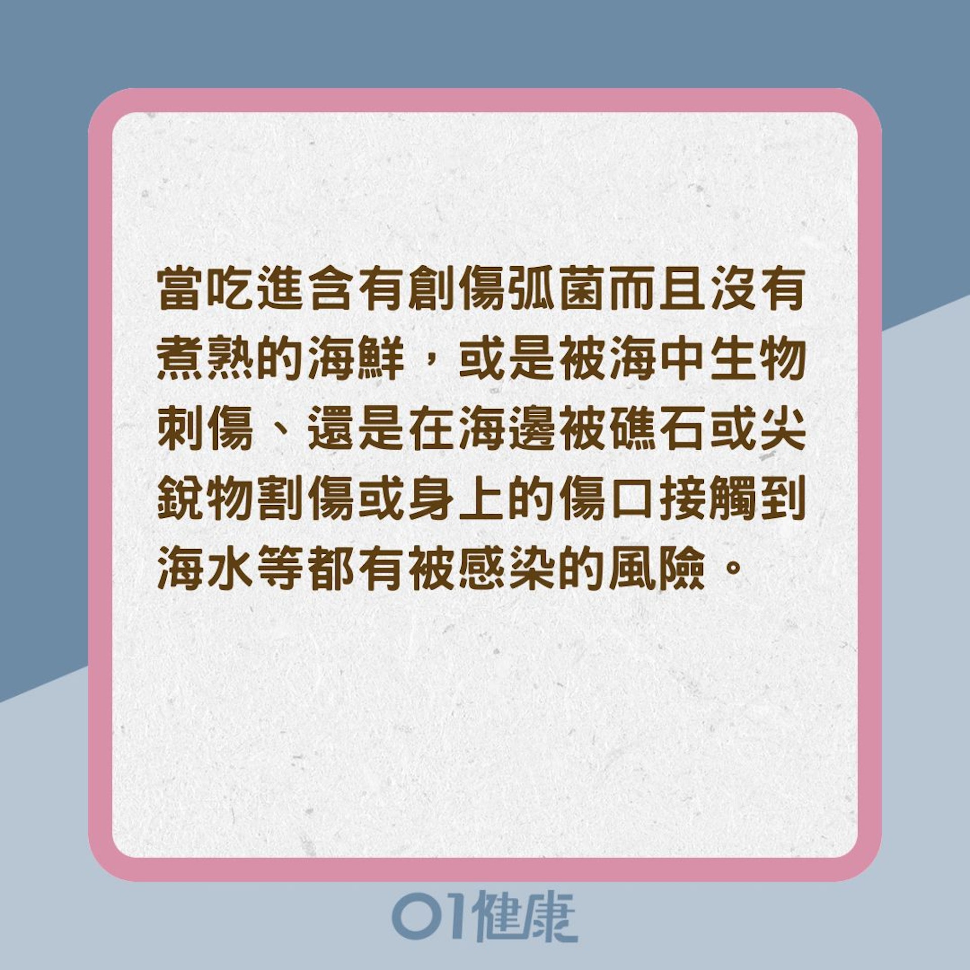 什麼是創傷弧菌?(01製圖) 什麼是創傷弧菌?(01製圖)