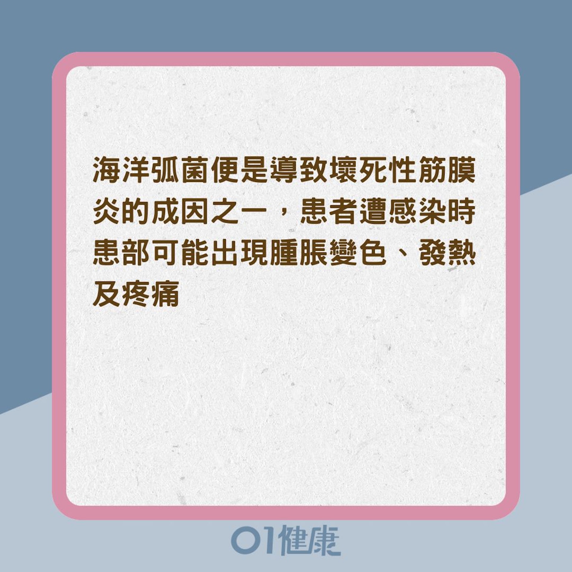 什麼是創傷弧菌?(01製圖) 什麼是創傷弧菌?(01製圖)