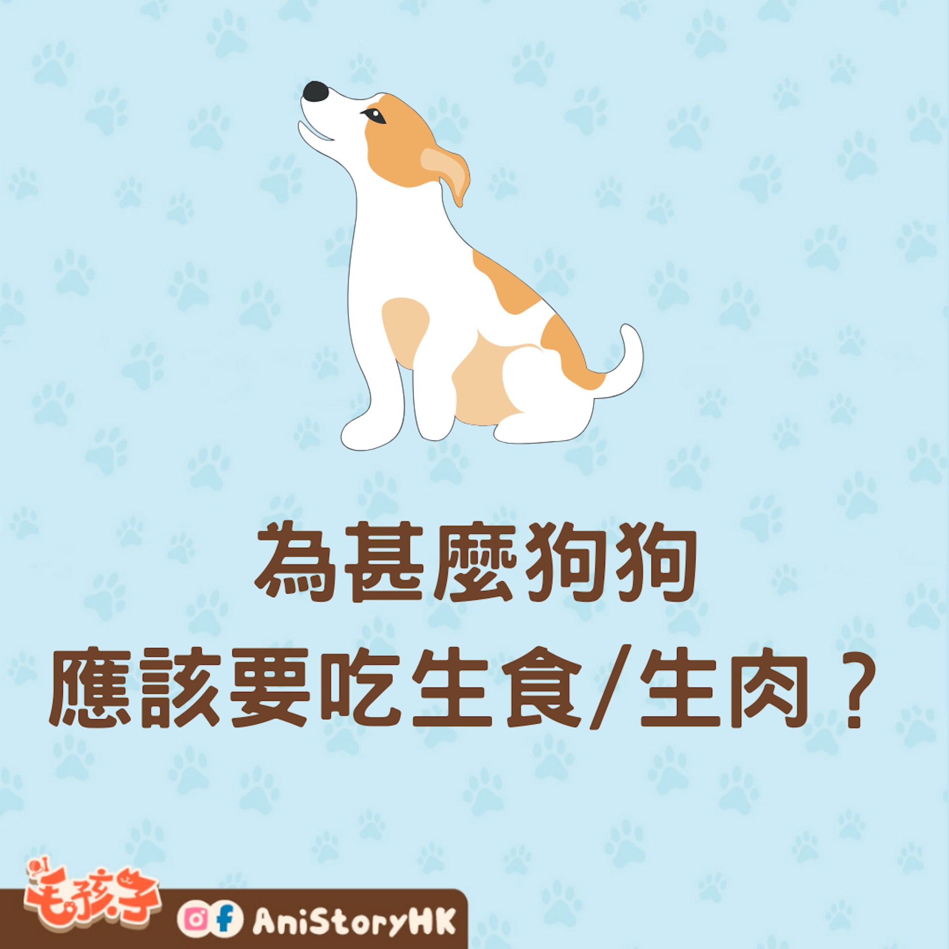 狗狗為甚麼應該要吃生食/生肉?(01製圖) 狗狗為甚麼應該要吃生食/生肉?(01製圖)