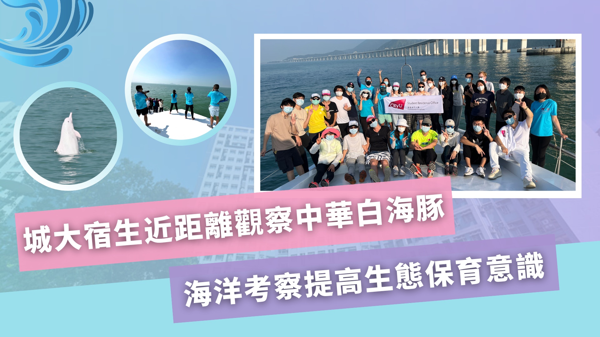 城大宿生近距離觀察中華白海豚　海洋考察提高生態保育意識