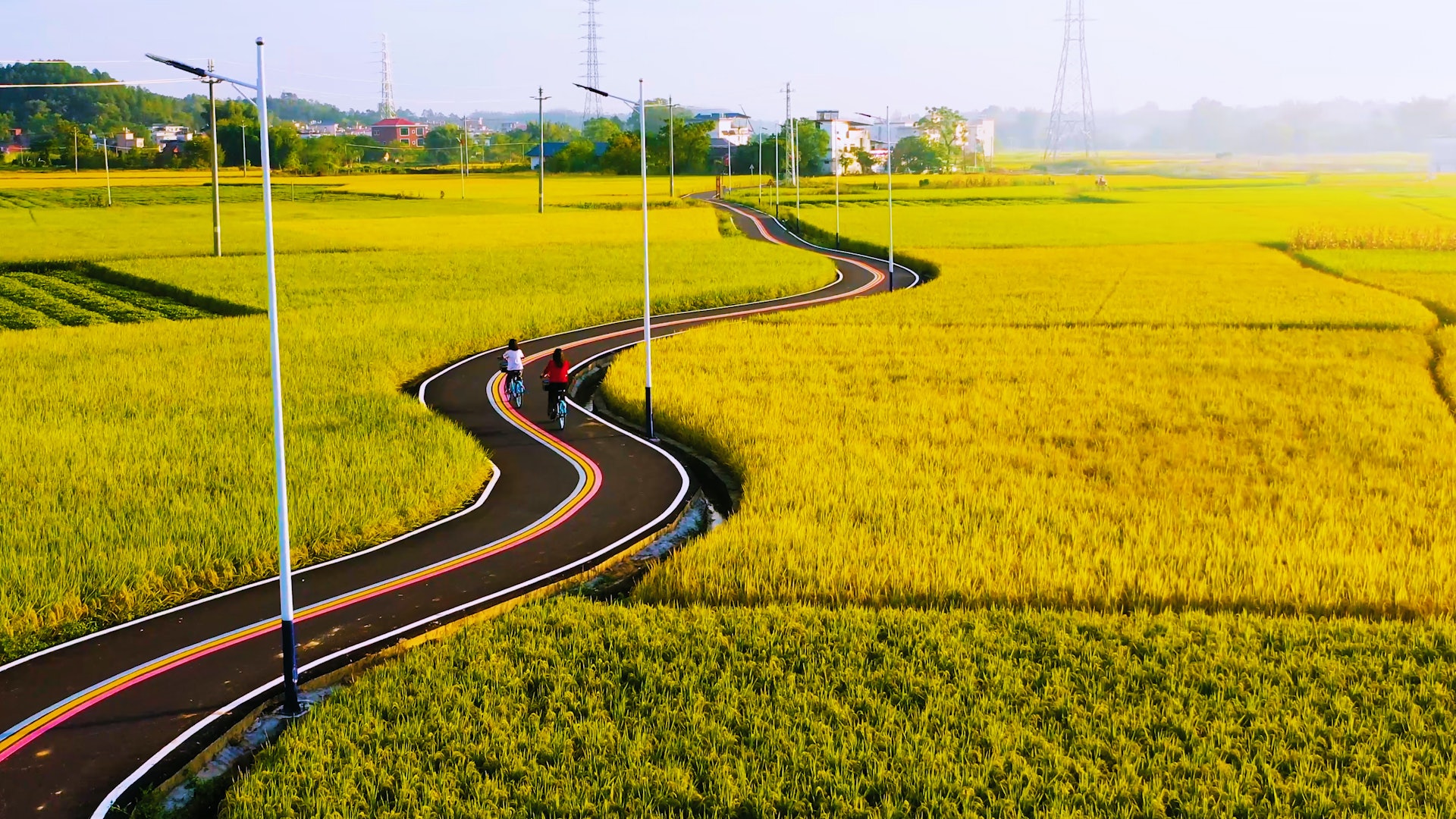 連平稻田綠道 連平縣融媒體中心供圖 連平稻田綠道 連平縣融媒體中心供圖