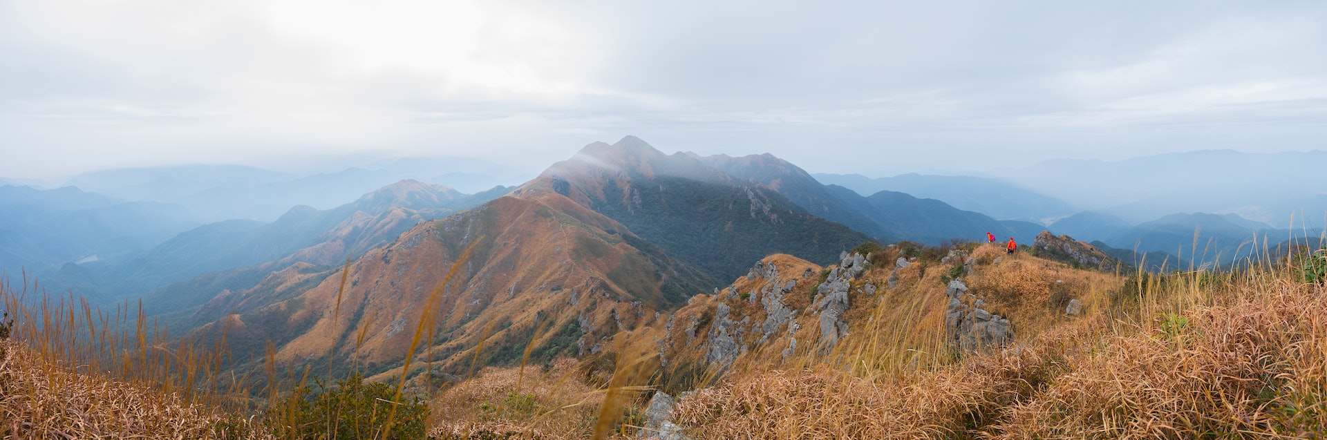 廣東連平黃牛石省級自然保護區 梁煥新 攝 廣東連平黃牛石省級自然保護區 梁煥新 攝