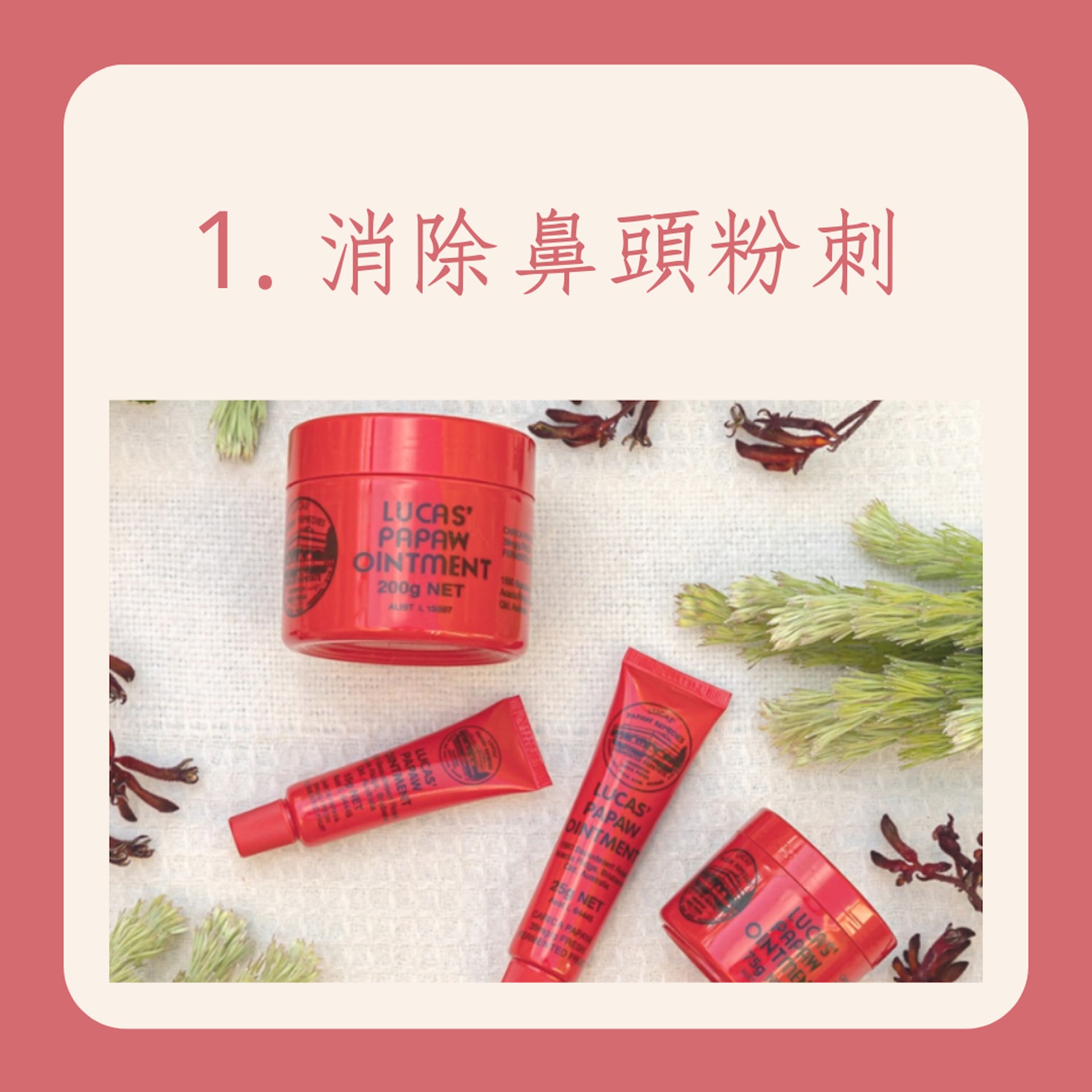 澳洲木瓜膏的10種用法(LUCAS' PAPAW OINTMENT官網;01製圖) 澳洲木瓜膏的10種用法(LUCAS' PAPAW OINTMENT官網;01製圖)