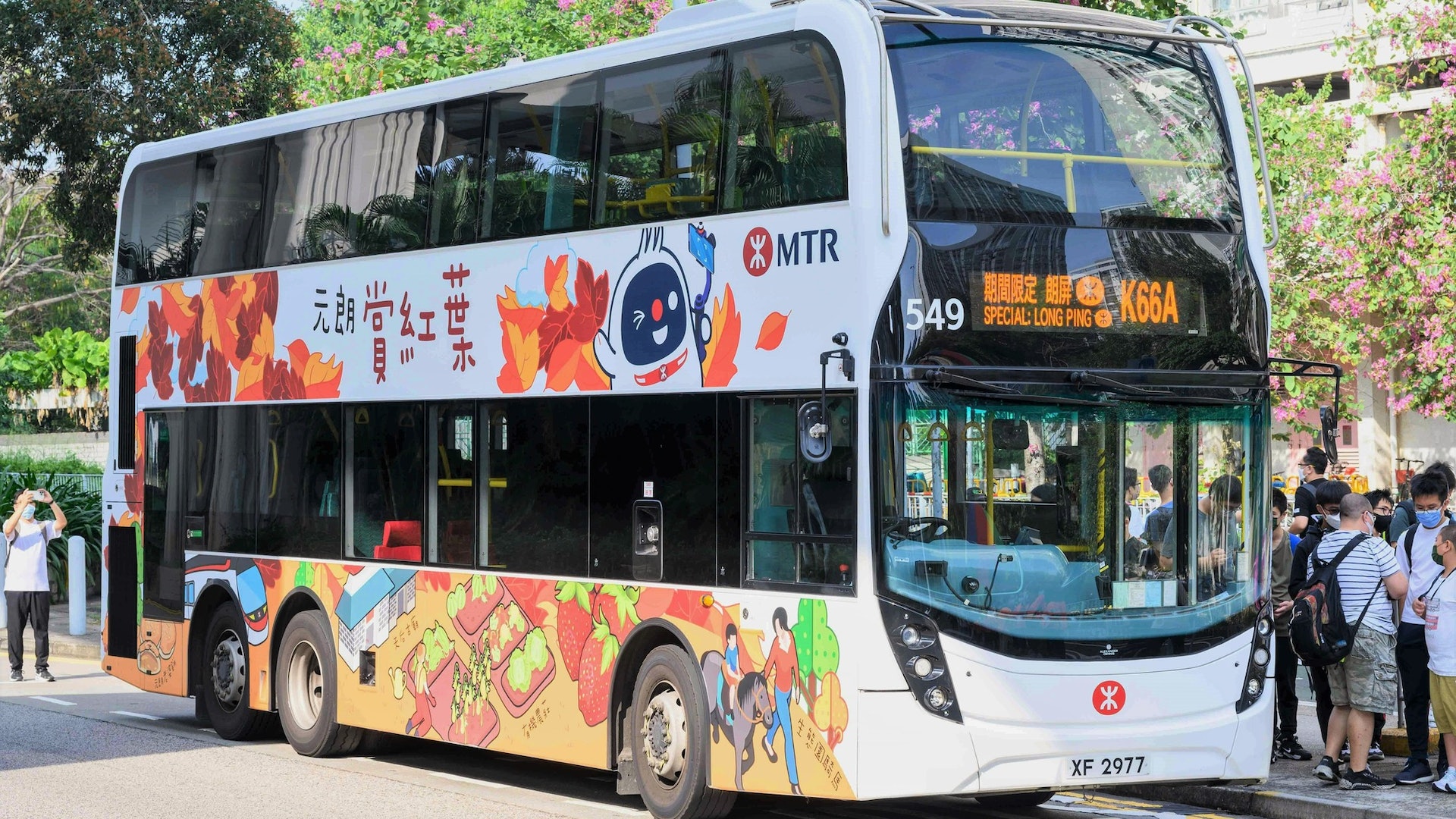 港鐵兩年前特別安排印有「元朗賞紅葉」的巴士行走K66A路線。(港鐵圖片) 港鐵兩年前特別安排印有「元朗賞紅葉」的巴士行走K66A路線。(港鐵圖片)