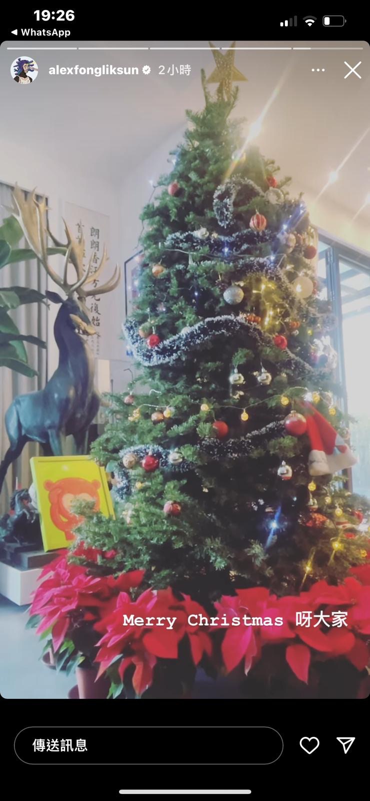 巨型圣诞树。（IG@alexfongliksun）