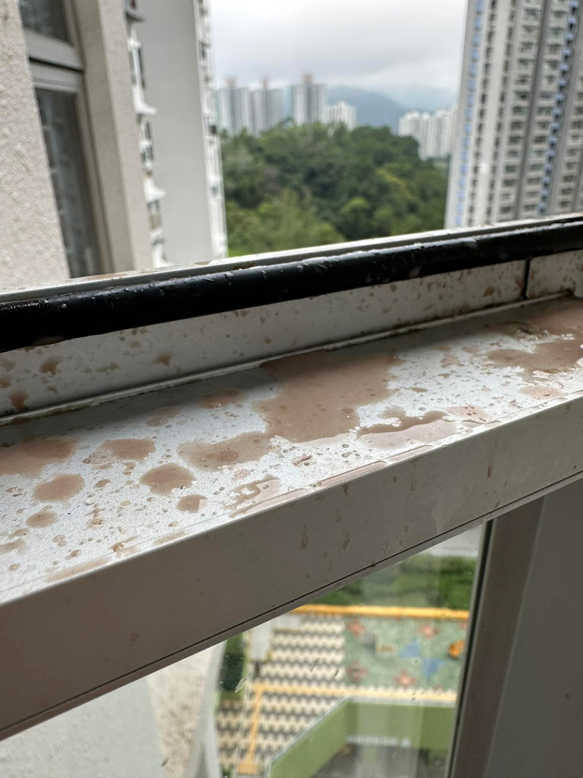大埔富蝶邨有居民半年來飽受天降湯渣困擾,她於網上發文指斥有中層住戶經常從廚房倒湯渣出窗外,致湯水飛濺入其屋。(fb群組「大埔富蝶邨居民關注組」圖片) 大埔富蝶邨有居民半年來飽受天降湯渣困擾,她於網上發文指斥有中層住戶經常從廚房倒湯渣出窗外,致湯水飛濺入其屋。(fb群組「大埔富蝶邨居民關注組」圖片)