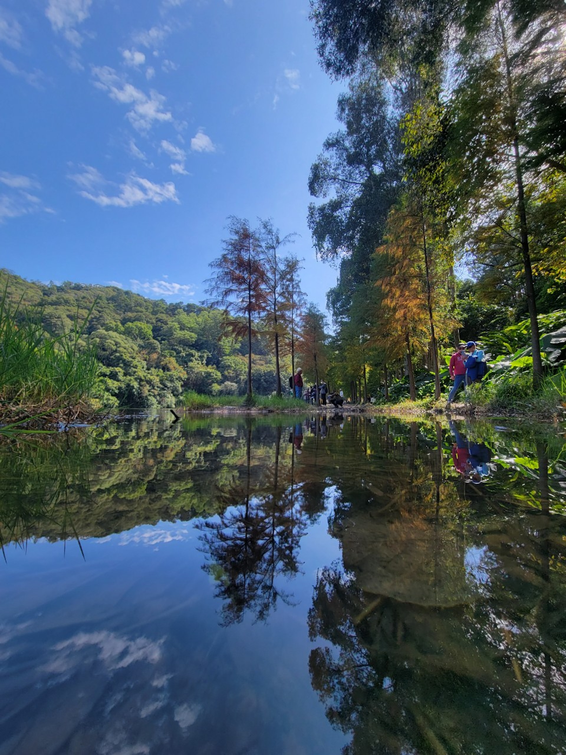 行山路線23 以流水響水塘為起點編輯推介4條難度低至高路線 行山路線23 以流水響水塘為起點編輯推介4條難度低至高路線