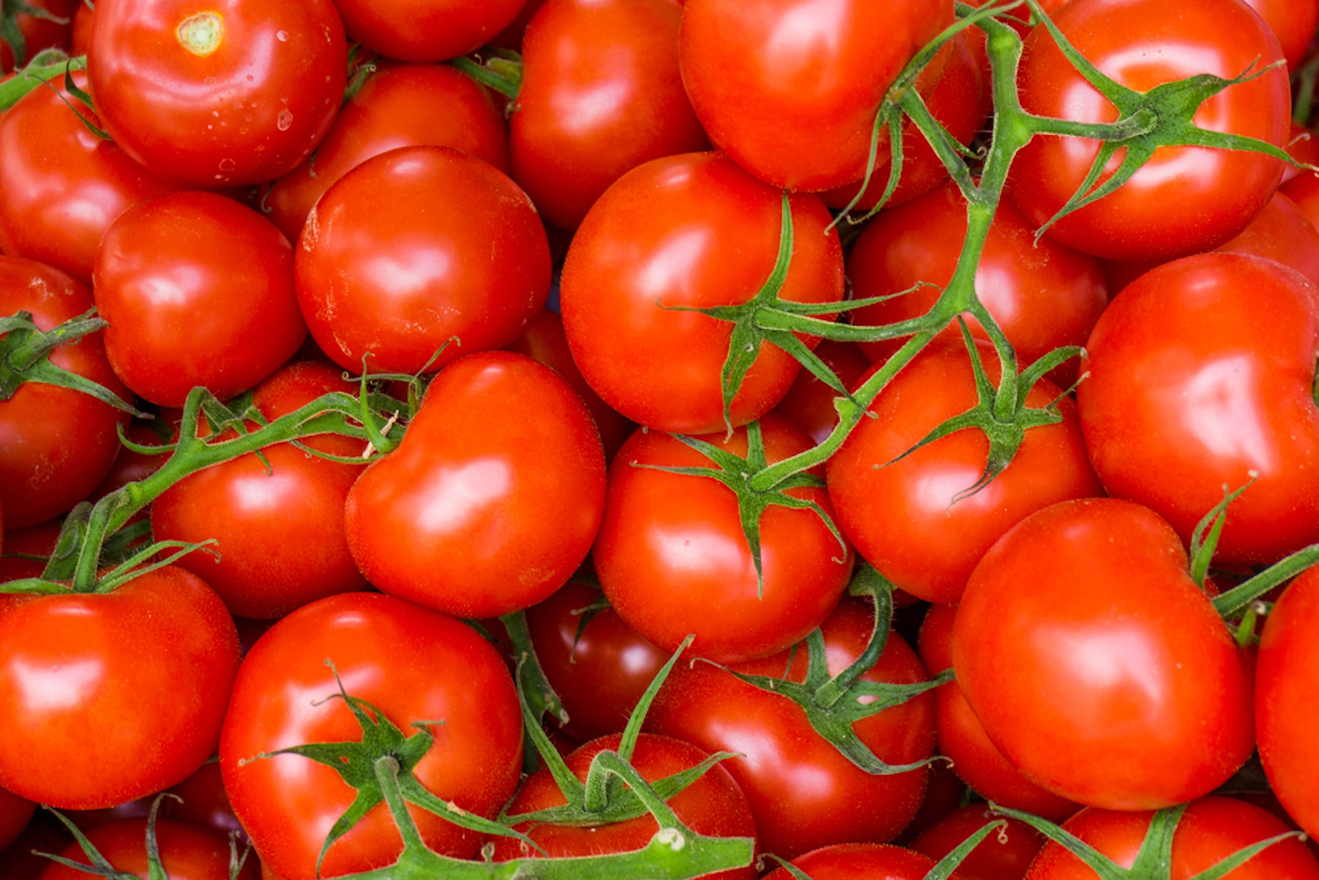蕃茄除了含有豐富的維他命Ｃ有助抗氧化之外，它含有的茄紅素攻能有助降低體內的血糖水平
