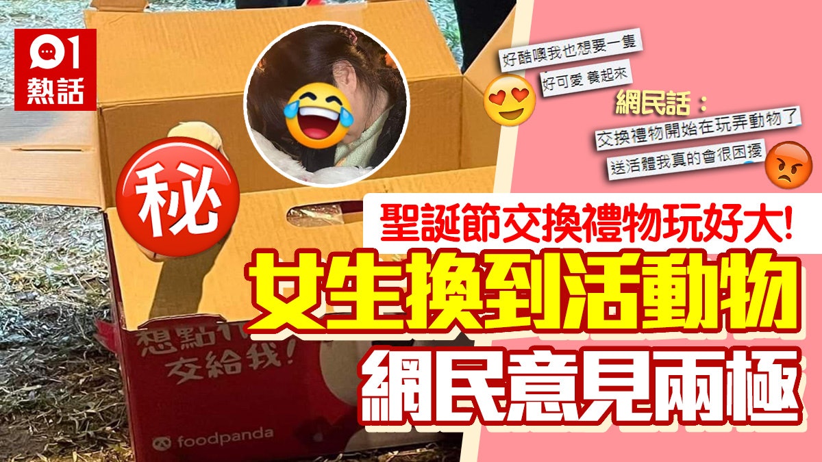 聖誕節交換禮物 女生竟收「活體動物」 網民斥缺德:無聊當有趣 聖誕節交換禮物 女生竟收「活體動物」 網民斥缺德:無聊當有趣