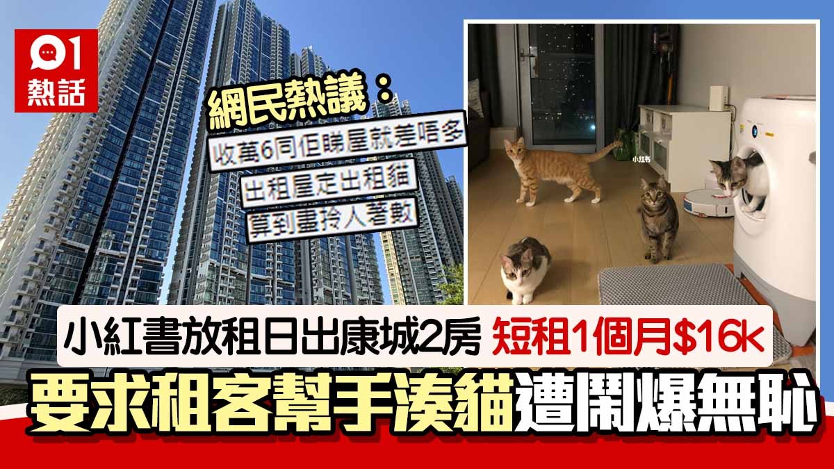 小紅書女外遊1個月　出租日出康城450呎16K　要租客幫手照顧4隻貓