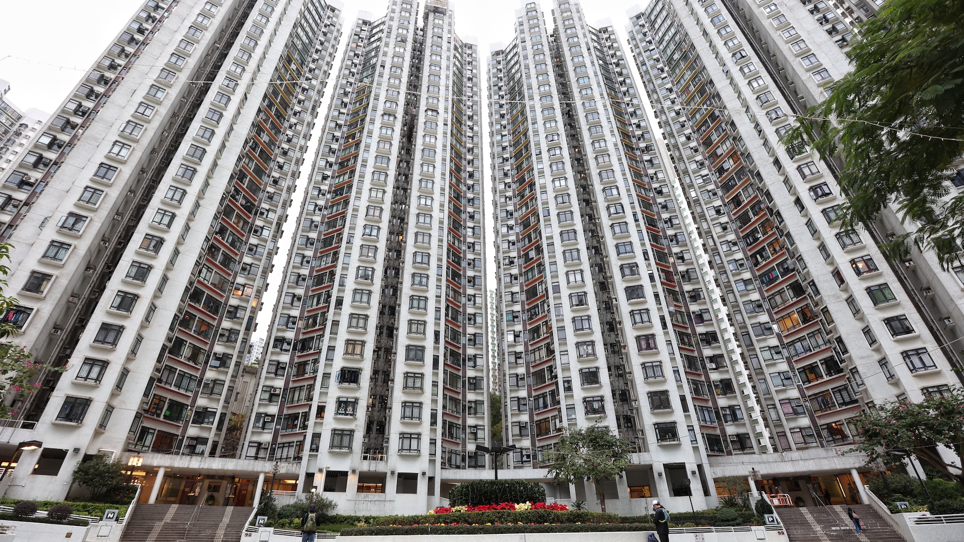 基孔肯雅熱|增2輸入個案居康怡花園及牛頭角上邨 曾到峇里中山 基孔肯雅熱|增2輸入個案居康怡花園及牛頭角上邨 曾到峇里中山