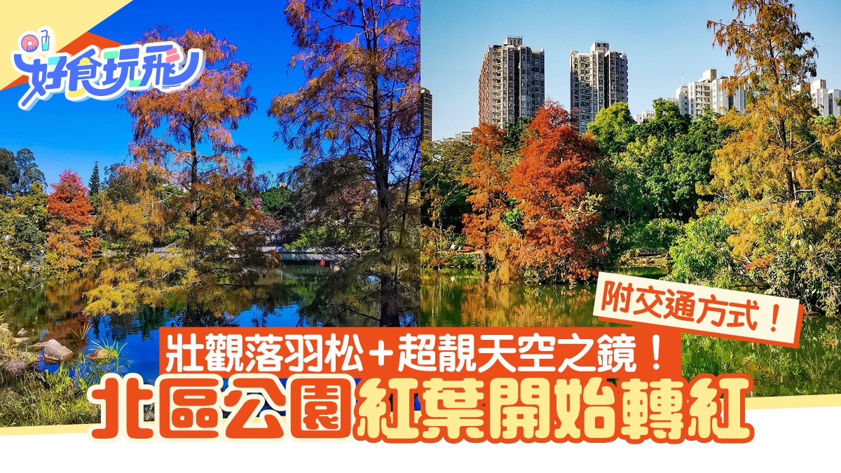紅葉好去處｜北區公園紅葉開始轉紅！必打卡天空之鏡 附交通方式