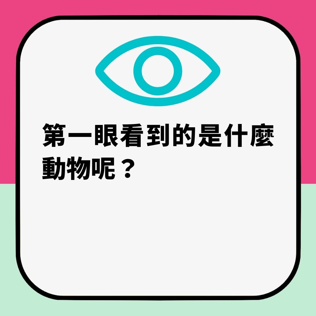 第一眼睇到乜嘢動物？揭露你真實人格（01製圖）