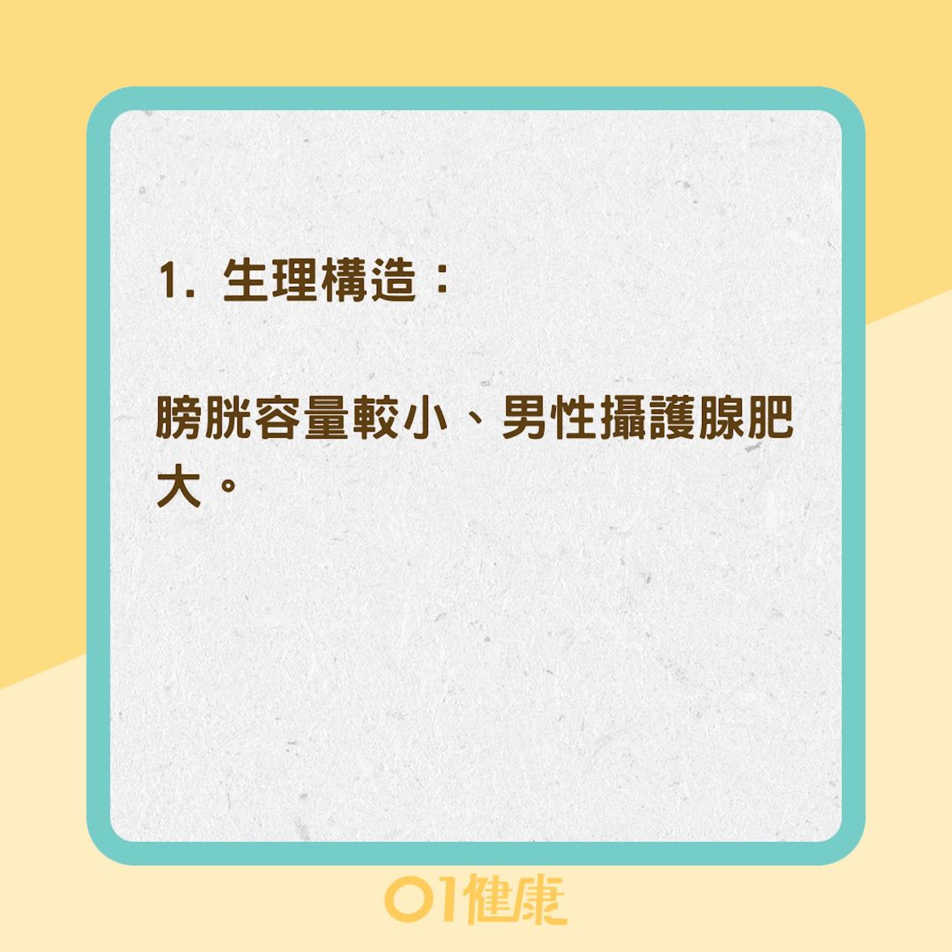 4大原因造成夜尿(01製圖) 4大原因造成夜尿(01製圖)