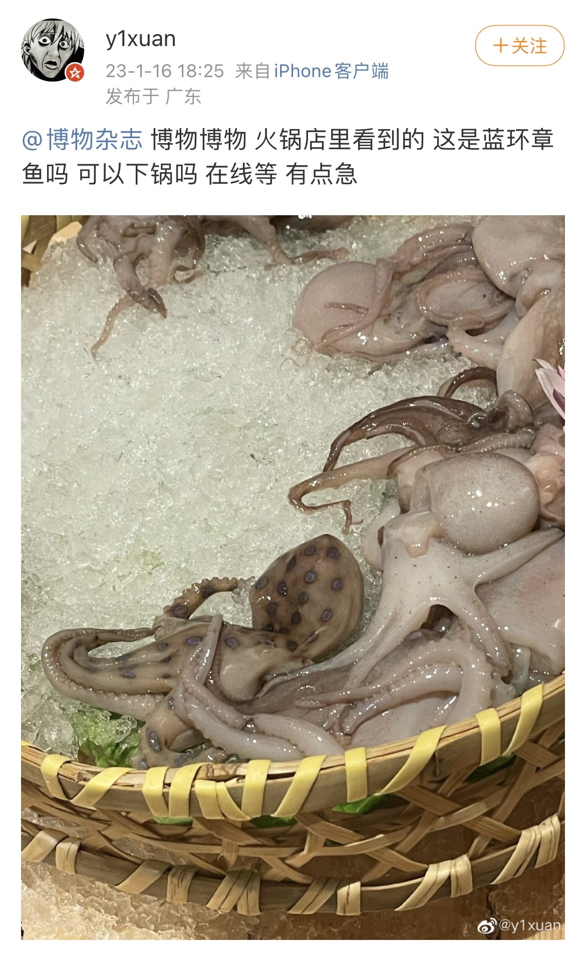 網友提問。（微博截圖）