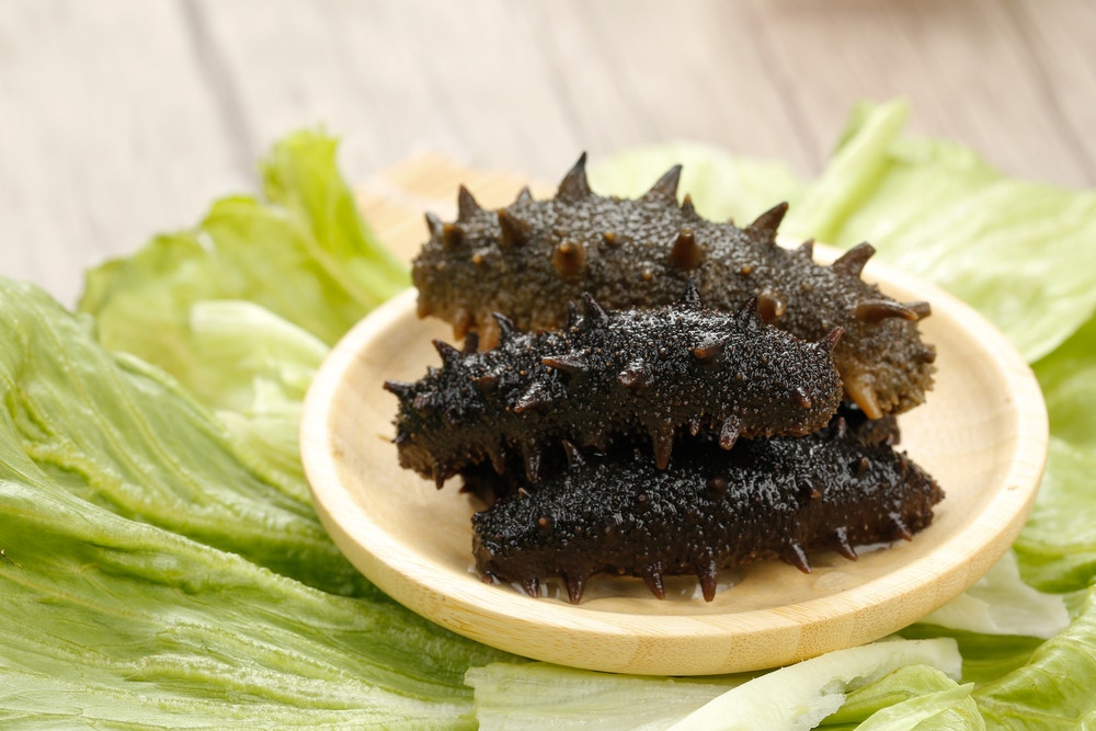 海參|降三高緩衰老海參7大功效兩種人不適合吃附烹調小貼士