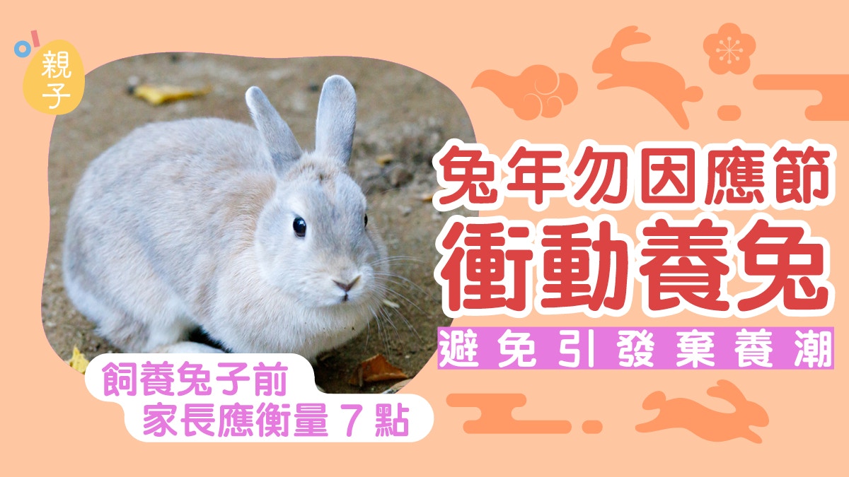 兔年｜兔協呼籲勿因應節衝動養兔避免引發棄養潮 飼養前需評估7點