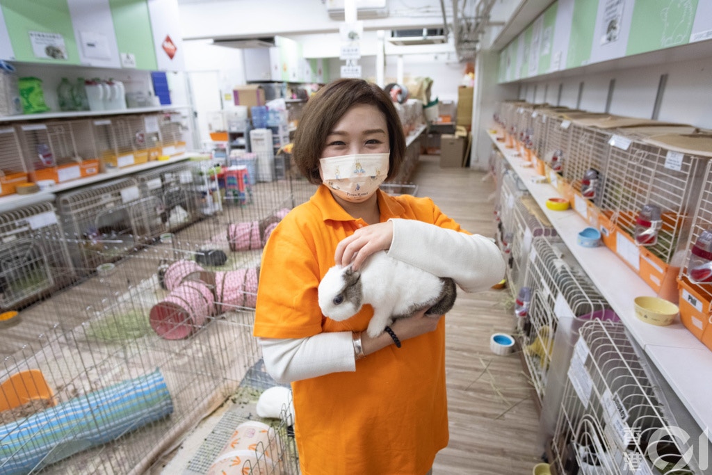 董芳宜呼籲市民飼養兔子前要考慮人生規劃，如會否移民目的地可帶同兔子前往、結婚生育的計劃等，切勿因「應節」而貿然飼養。（盧翊銘攝）