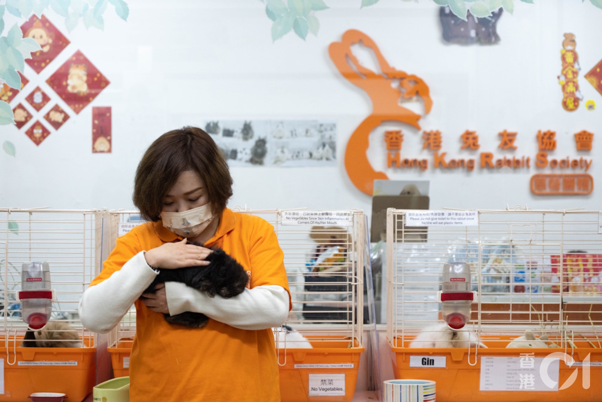 董芳宜呼籲市民飼養兔子前要考慮人生規劃,如會否移民目的地可帶同兔子前往、結婚生育的計劃等,切勿因「應節」而貿然飼養。(盧翊銘攝) 董芳宜呼籲市民飼養兔子前要考慮人生規劃,如會否移民目的地可帶同兔子前往、結婚生育的計劃等,切勿因「應節」而貿然飼養。(盧翊銘攝)