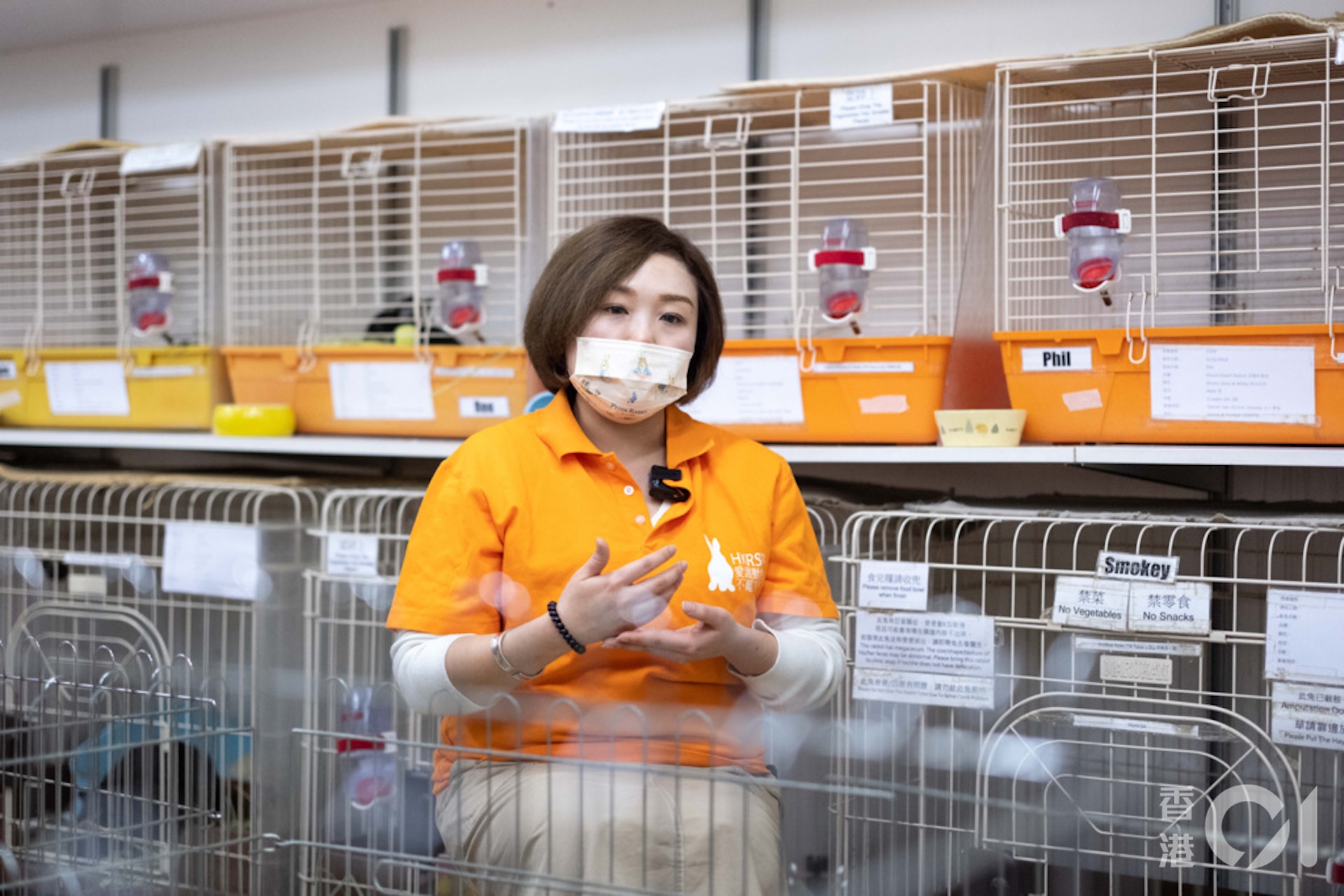 董芳宜呼籲市民飼養兔子前要考慮人生規劃,如會否移民目的地可帶同兔子前往、結婚生育的計劃等,切勿因「應節」而貿然飼養。(盧翊銘攝) 董芳宜呼籲市民飼養兔子前要考慮人生規劃,如會否移民目的地可帶同兔子前往、結婚生育的計劃等,切勿因「應節」而貿然飼養。(盧翊銘攝)