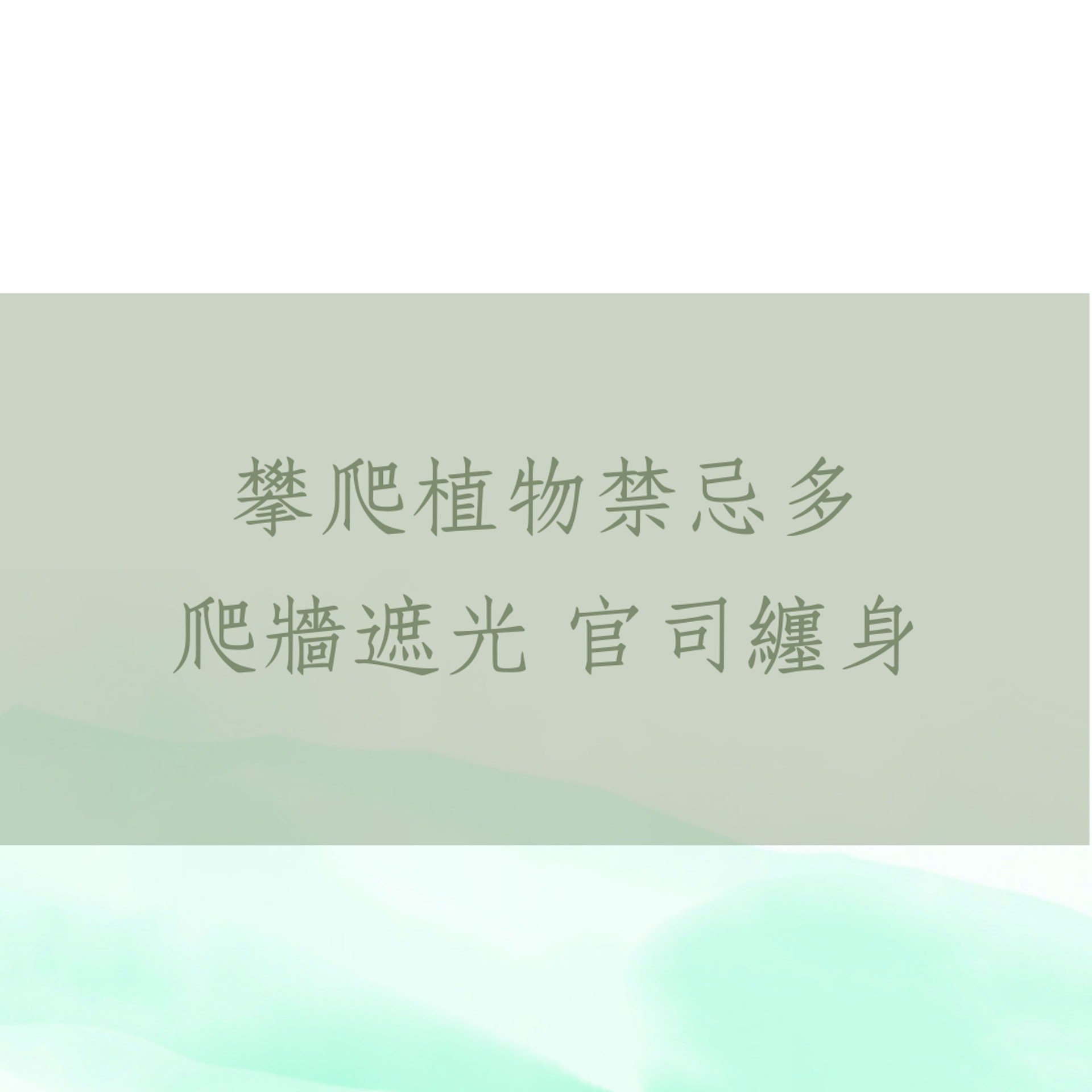 5大盆栽風水禁忌(01製圖) 5大盆栽風水禁忌(01製圖)