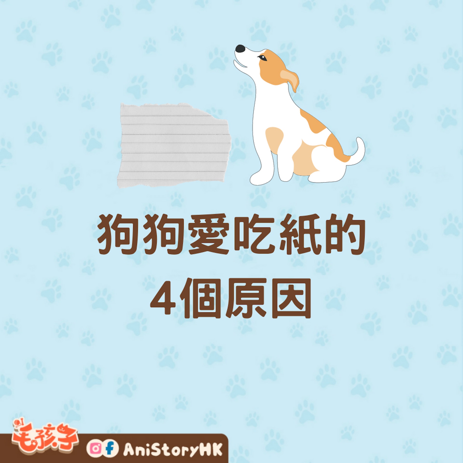 狗狗愛吃紙的4個原因(01製圖) 狗狗愛吃紙的4個原因(01製圖)