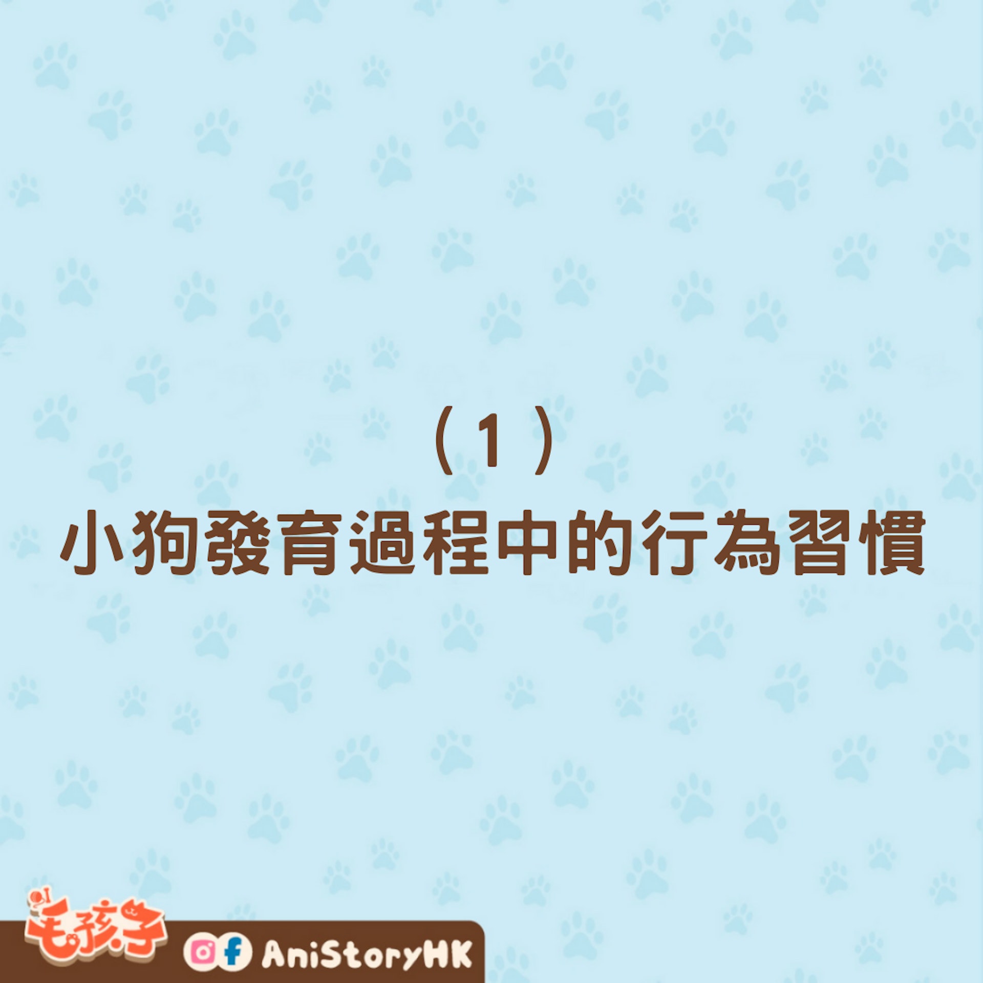 狗狗愛吃紙的4個原因(01製圖) 狗狗愛吃紙的4個原因(01製圖)
