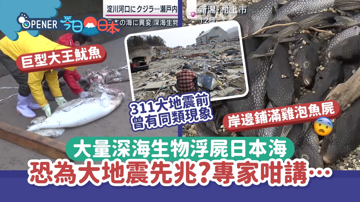 日本本州東南海域5.9級地震震源深度僅10公里 日本本州東南海域5.9級地震震源深度僅10公里