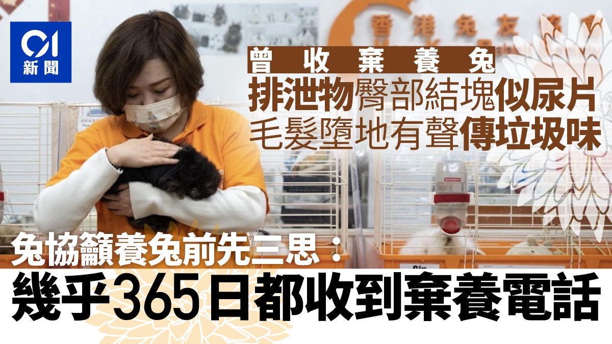 兔年｜兔協：幾乎每日收棄養電話　兔仔黏滿排泄物結塊如尿片