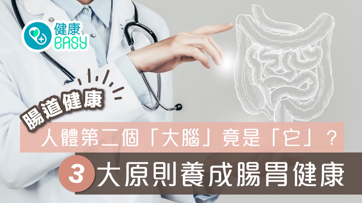 腸道健康｜腸道就是人體第二個「大腦」？3大原則養成腸胃健康