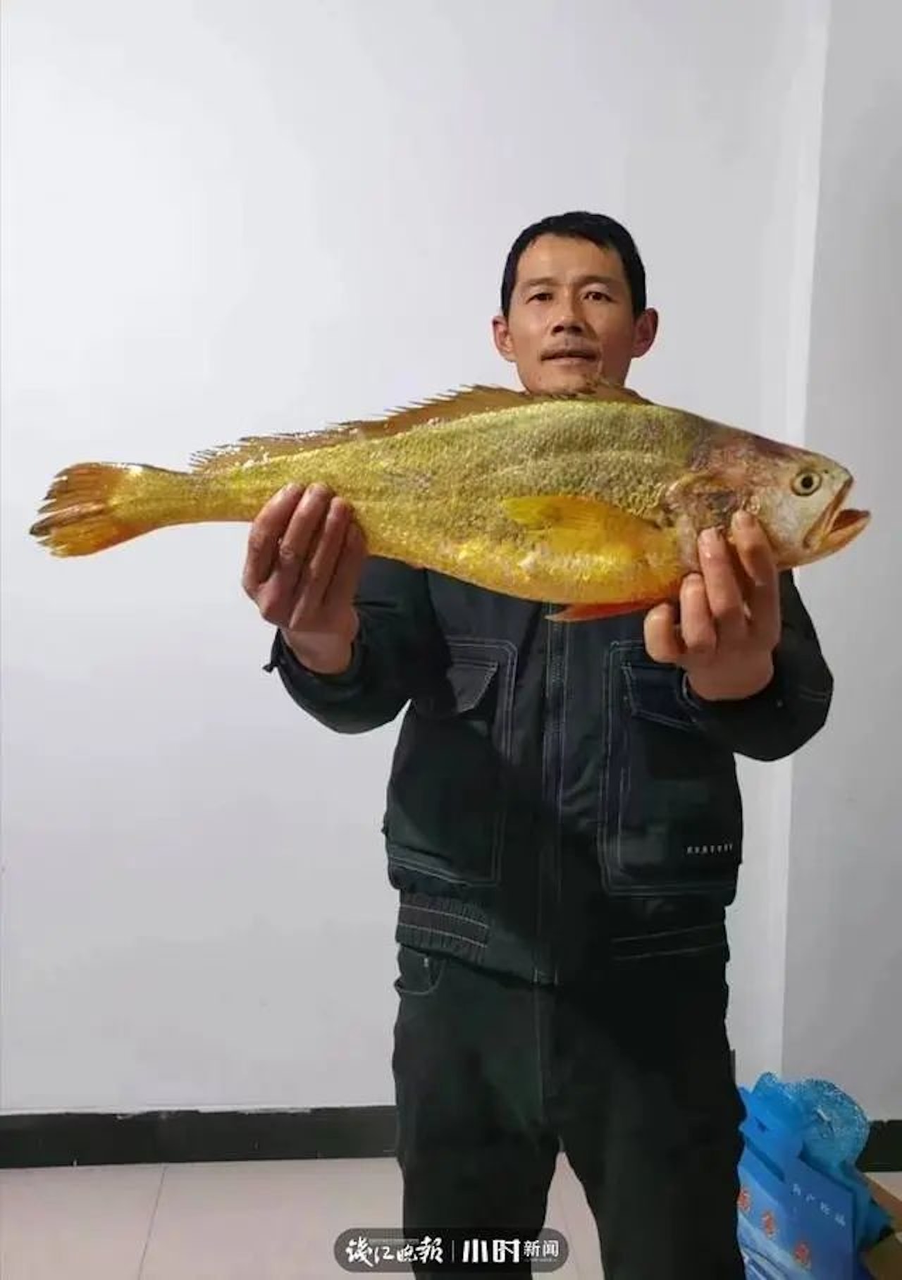 王明明宣佈4.8斤野生大黃魚以26600元人民幣的價格售出。(錢江晚報) 王明明宣佈4.8斤野生大黃魚以26600元人民幣的價格售出。(錢江晚報)
