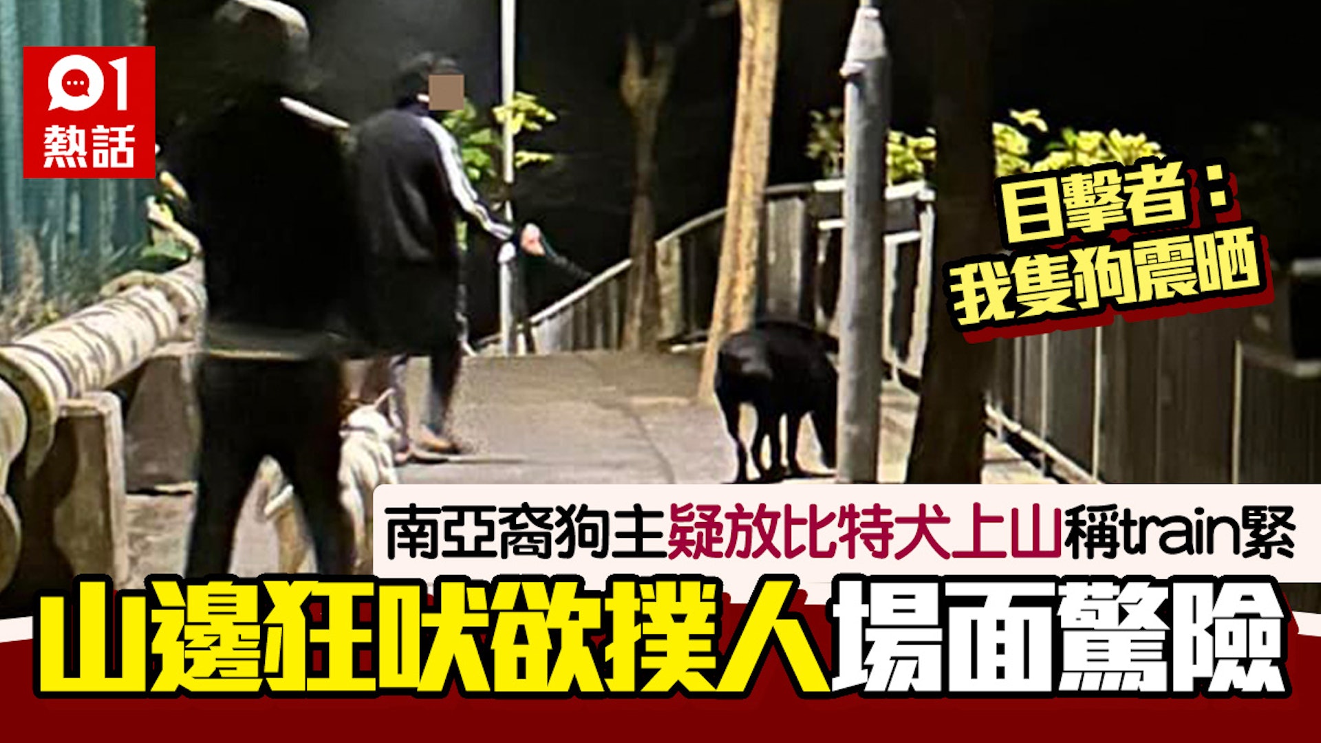 南亞裔狗主疑放鬥牛㹴上山 聲稱「train緊」 山坡傳浪浪悲鳴聲 - 寵物交流區 - 公仔箱論壇 - Powered by Discuz!