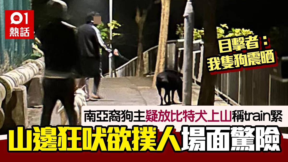 南亞裔狗主疑放鬥牛㹴上山 聲稱「train緊」 山坡傳浪浪悲鳴聲 南亞裔狗主疑放鬥牛㹴上山 聲稱「train緊」 山坡傳浪浪悲鳴聲