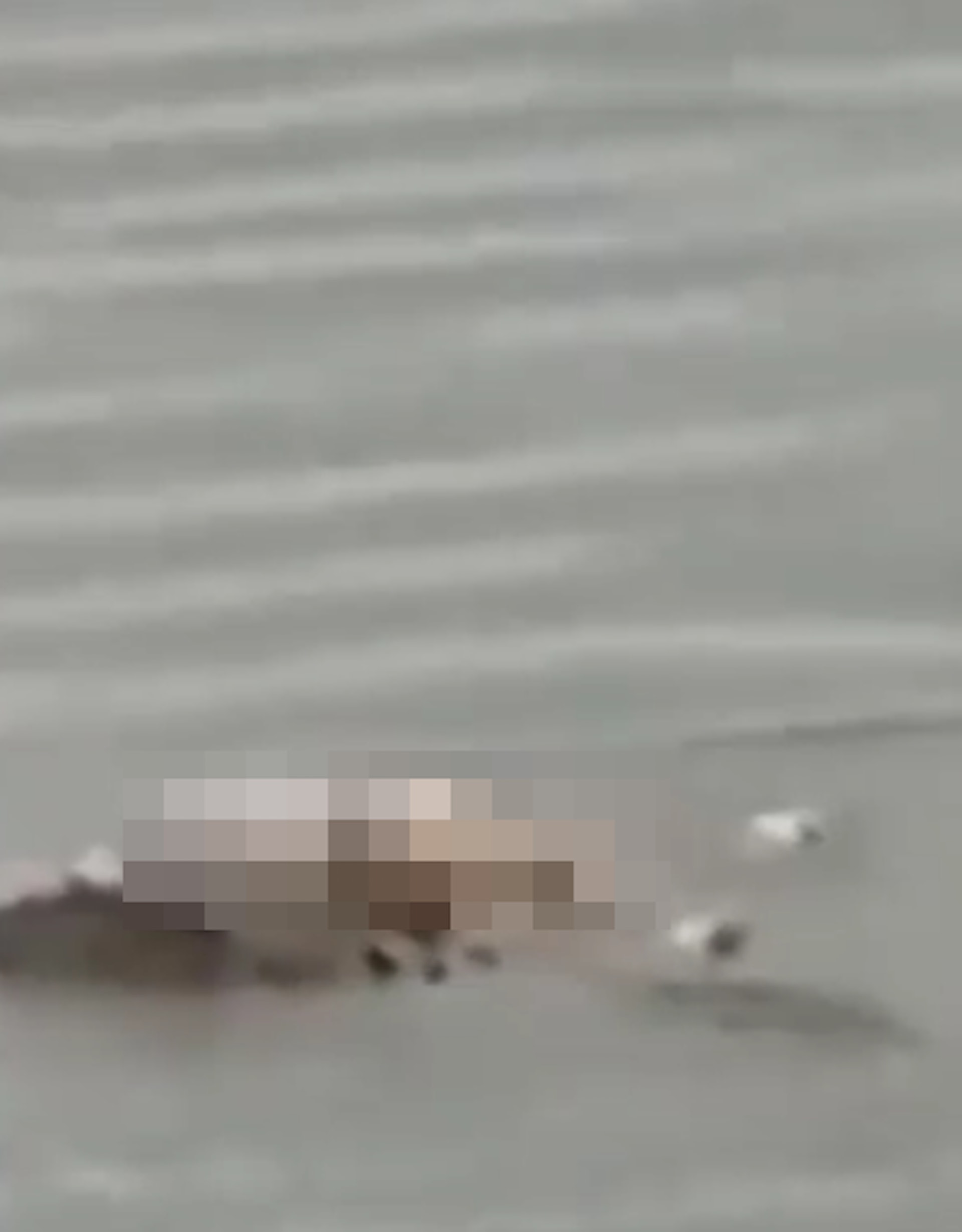 印尼有漁民發現鱷魚叼住1具男童遺體游近岸邊，發現是失蹤2天的4歲童維杰亞。（fb影片截圖）
