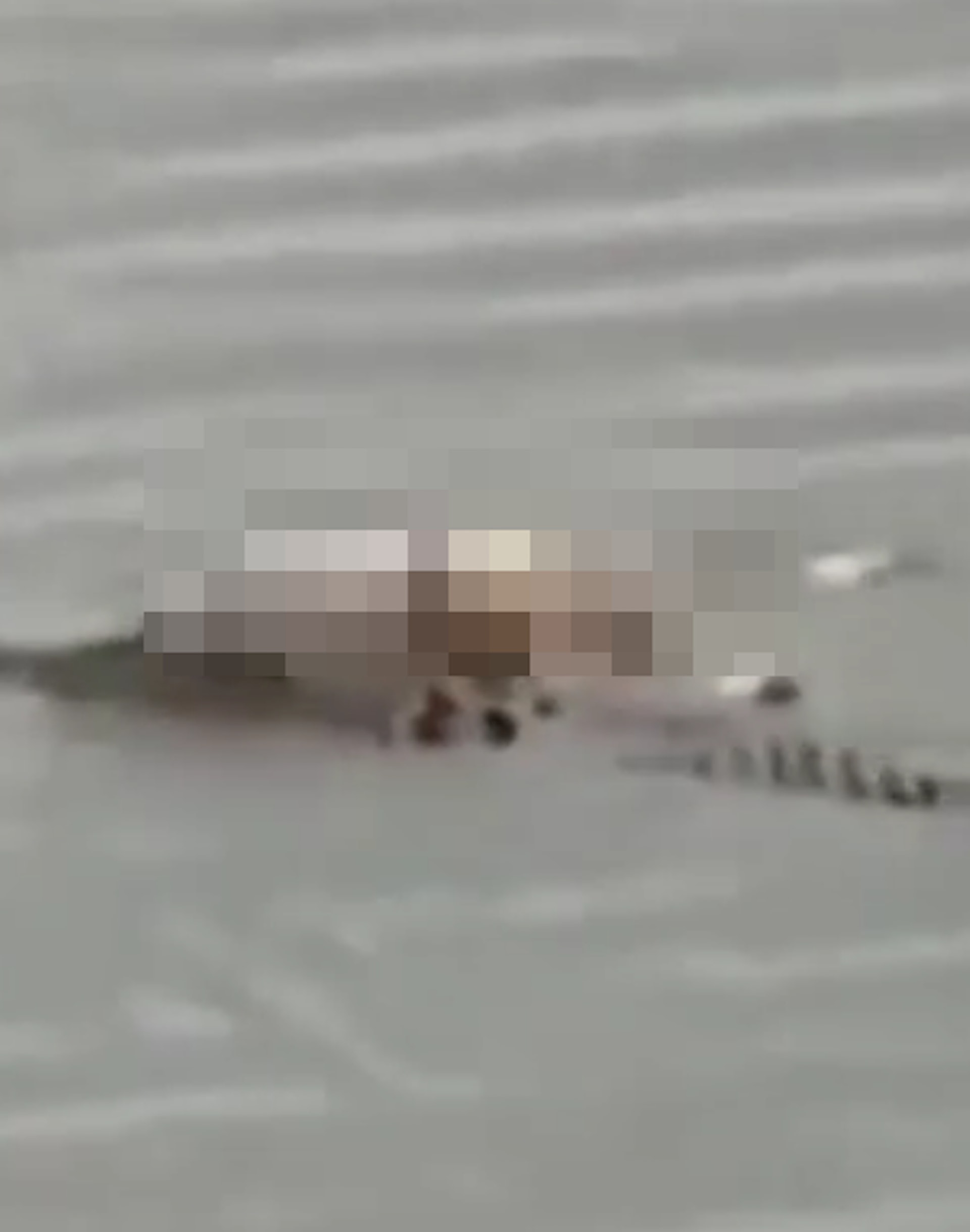 印尼有漁民發現鱷魚叼住1具男童遺體游近岸邊，發現是失蹤2天的4歲童維杰亞。（fb影片截圖）