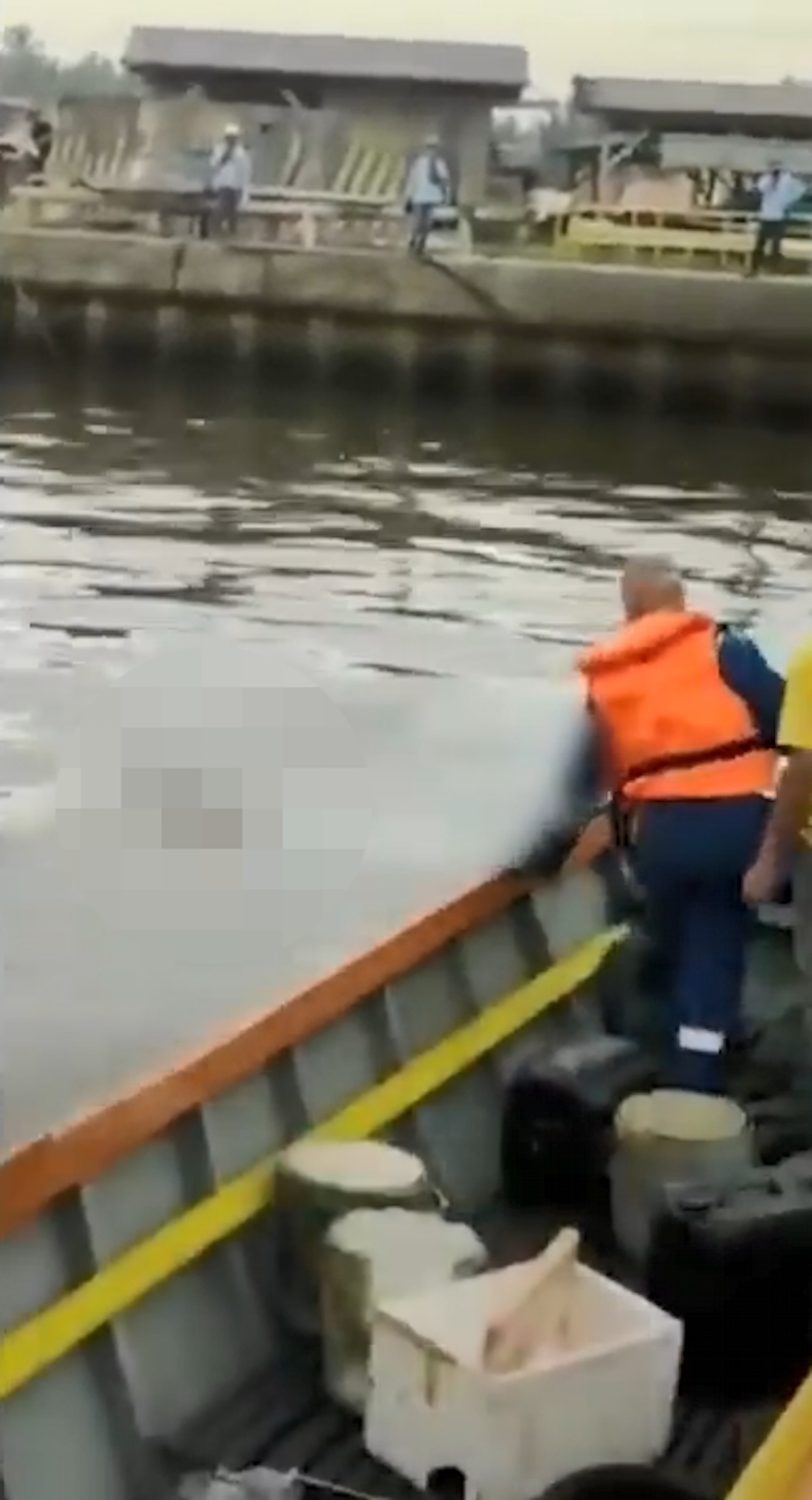 鱷魚游近岸邊小艇鬆口，艇上2名男子將男童遺體撈起。（fb影片截圖）