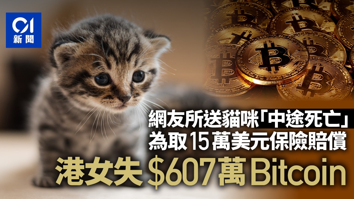網騙新招｜58歲女子誤墮「送貓騙局」 損失607萬元Bitcoin