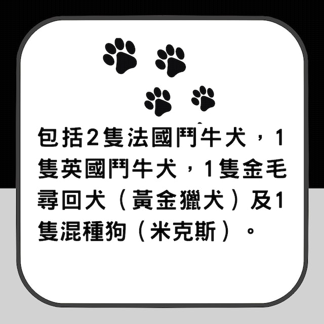 https://cdn.hk01.com/di/media/images/dw/20230128/696017233734012928165923.png/Nrq4sDxwKt6U0iJE_NGIXV1MK4QtLd154CZN_-AmTf8?v=w640
