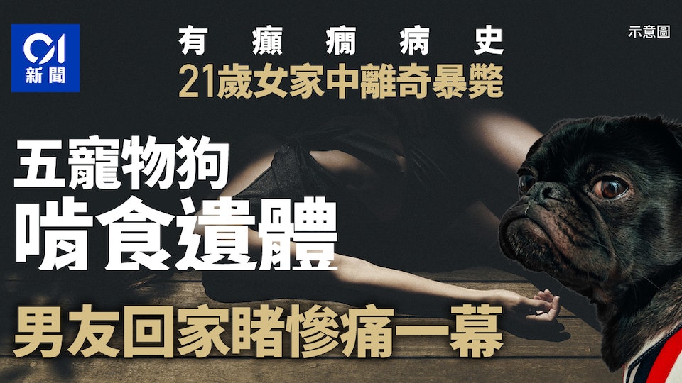 https://cdn.hk01.com/di/media/images/dw/20230128/696048002611023872197032.jpeg/1R1NBfNtStI2xFwuo3351J6g-BLx1Abq00UqddNFKnU?v=w960r16_9