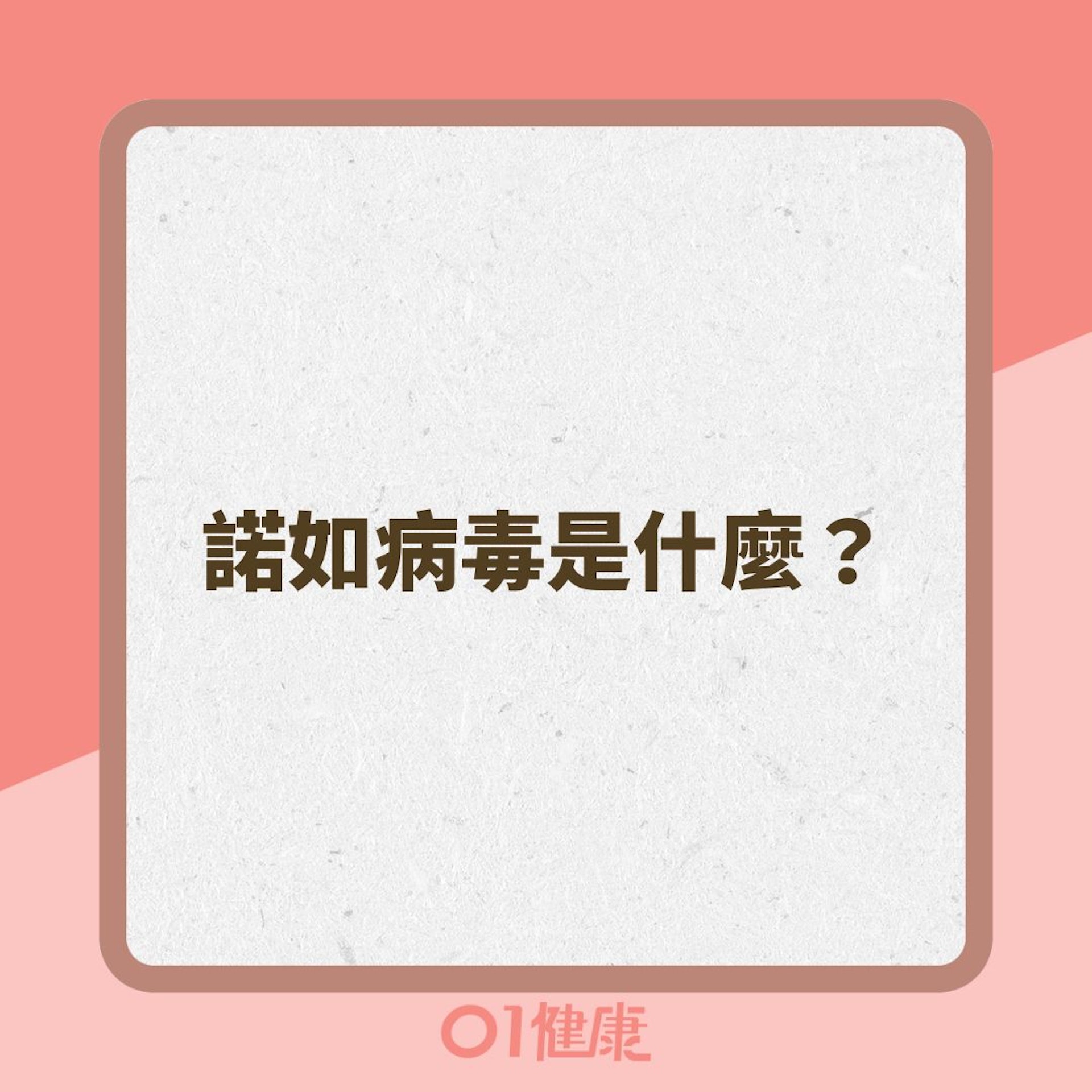 諾如病毒是什麼？（01製圖）