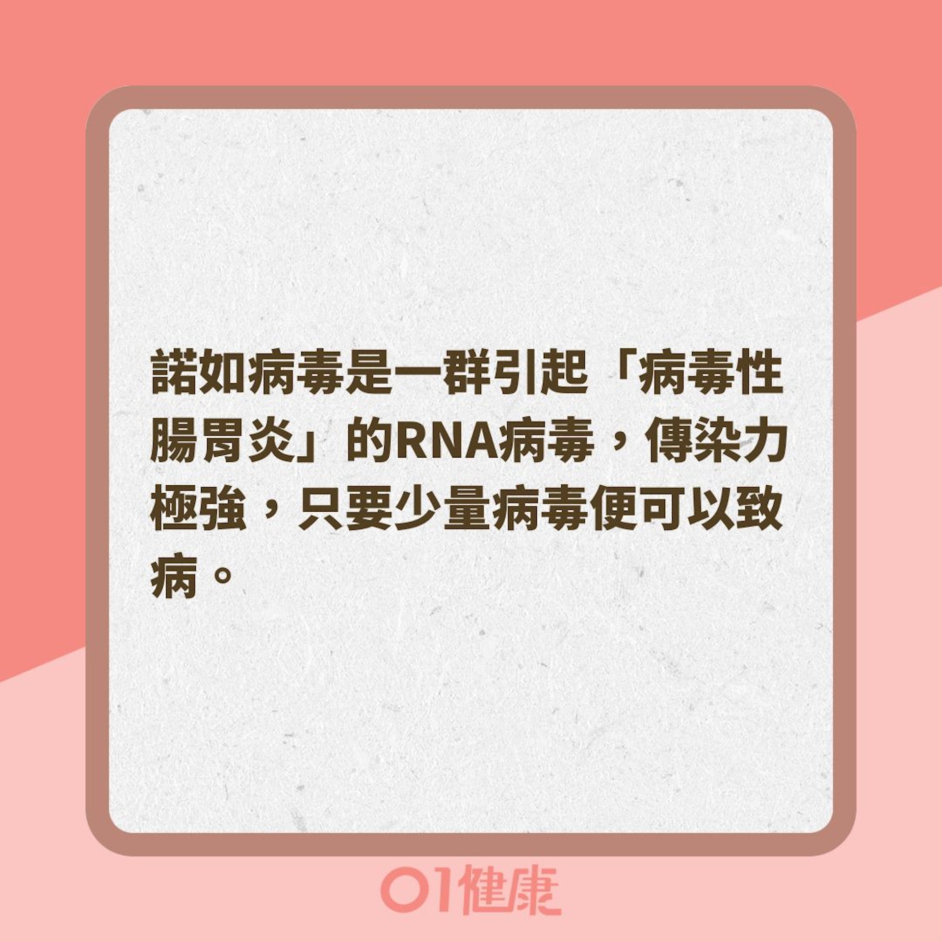 諾如病毒是什麼？（01製圖）